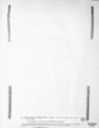 Perisporium fibrillosum image